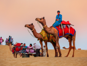 Desert Safari